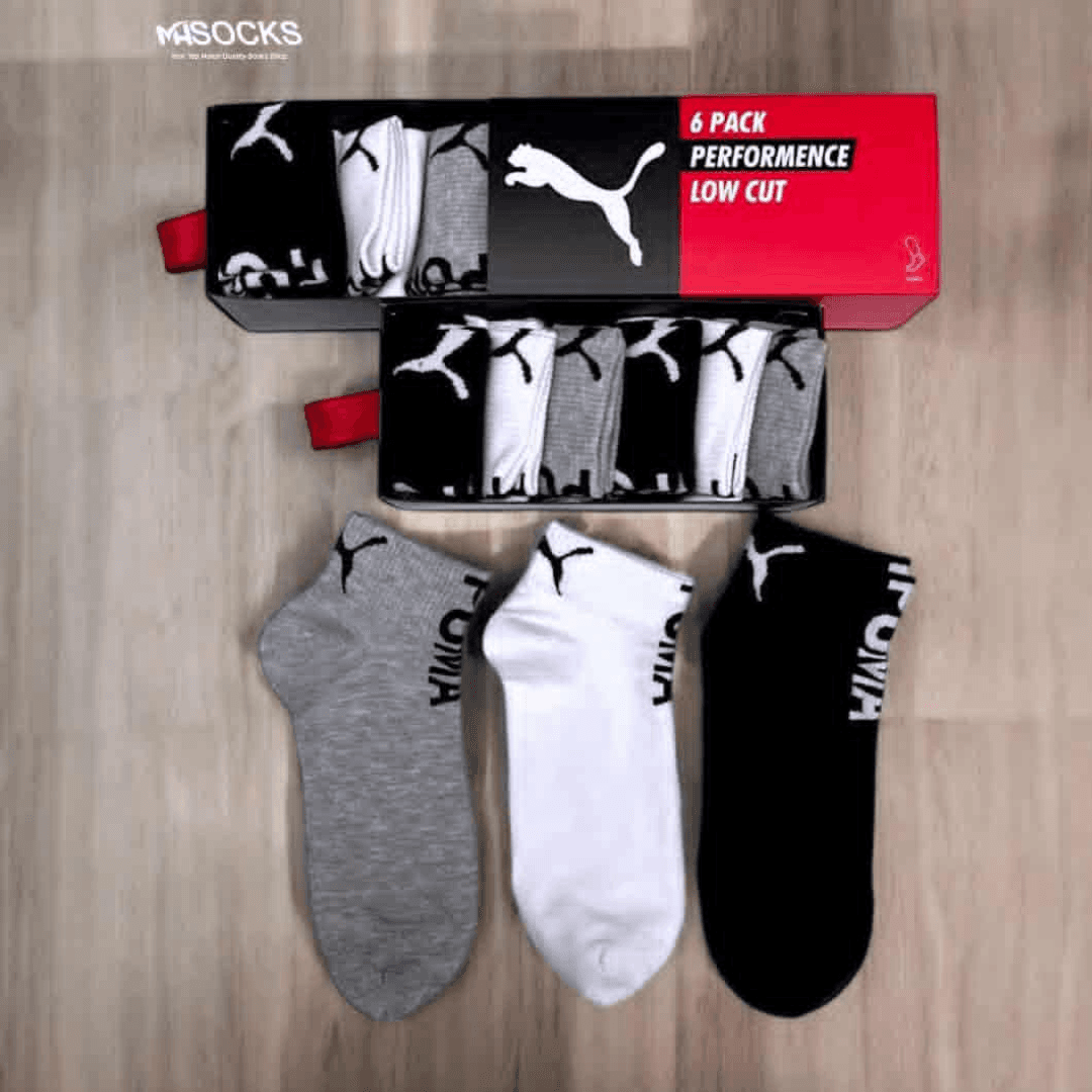 Premium 6 Pair Socks One Box